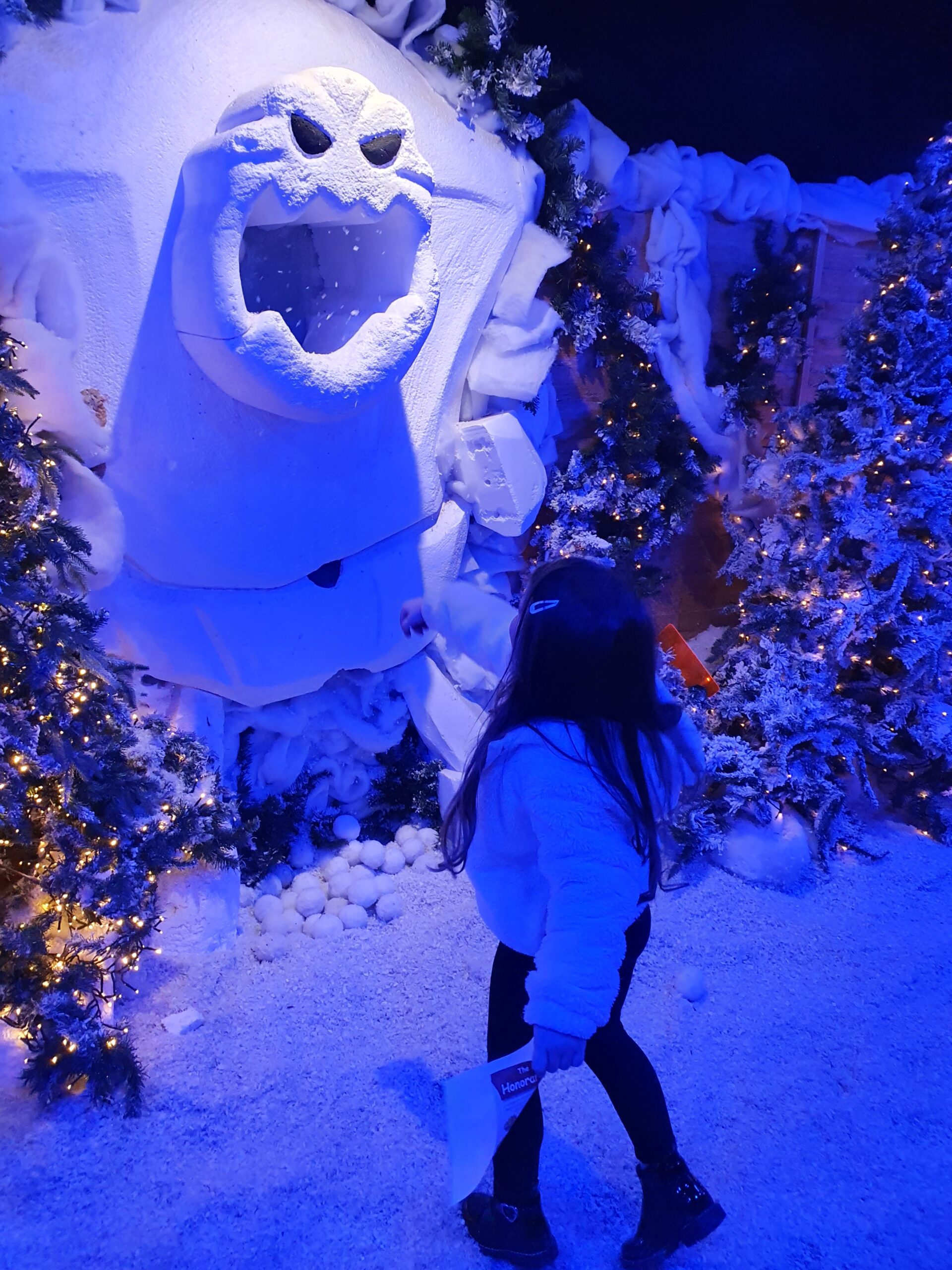 20221220_170239-scaled